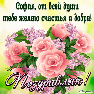 Яркая картинка с розовыми розочками и поздравлением Софии