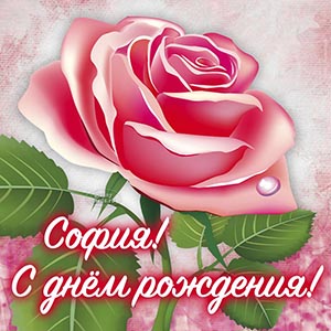 Электронная открытка с розой Софии на день рождения