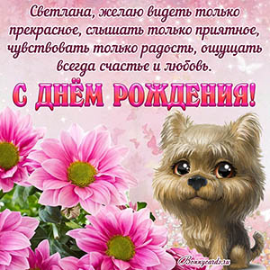 Картинка с Днём рождения Светлане с собакой и цветами
