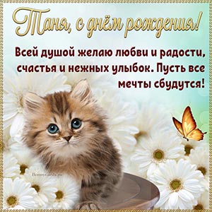 Очаровательная картинка с котёнком и бабочкой Тане