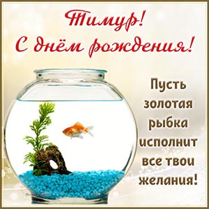 Тимур, пусть золотая рыбка исполнит все твои желания