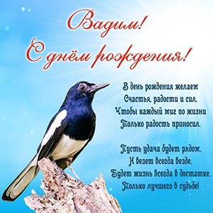 Именная картинка со стихотворением и птичкой Вадиму