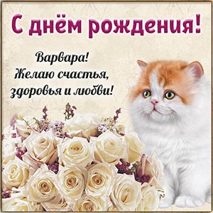 Изумительная картинка с котом и белыми розами Варваре
