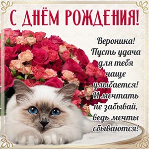 Картинка с котиком и букетом Веронике на день рождения
