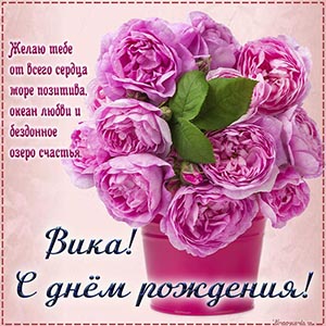 Вика, желаю море позитива и бездонное озеро счастья