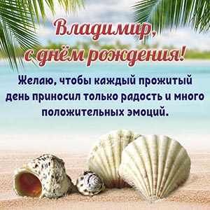 Восхитительная картинка с ракушками на берегу Владимиру