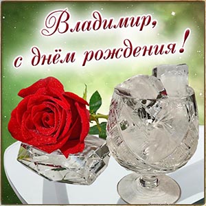 Красная роза и поздравление Владимиру на день рождения