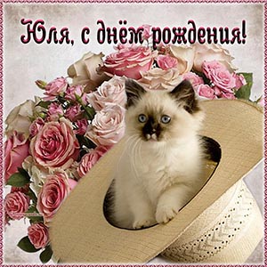 Именная открытка с котёнком в шляпе Юле на день рождения