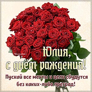 Юлия, пусть мечты и цели сбудутся без каких-либо преград