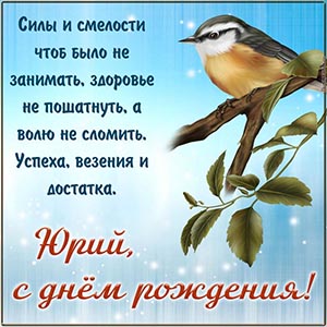 Изысканная картинка с птицей Юрию на день рождения