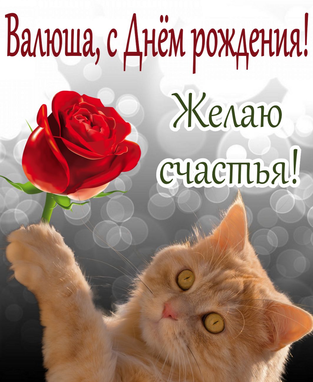 Рыжий котик с красной розой для Вали