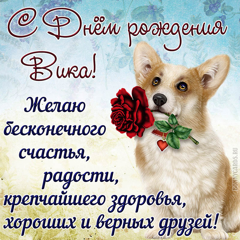 Открытка - собачка с красной розой поздравляет Вику с Днём рождения
