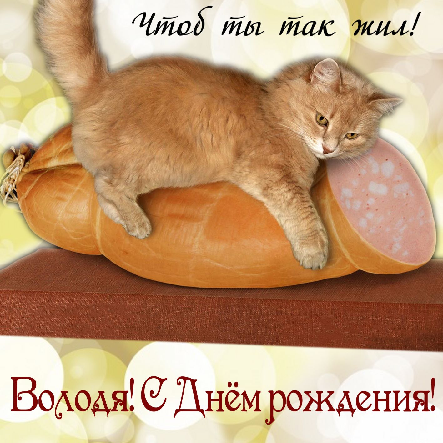 Открытка - забавный котик с колбасой на День рождения Володе