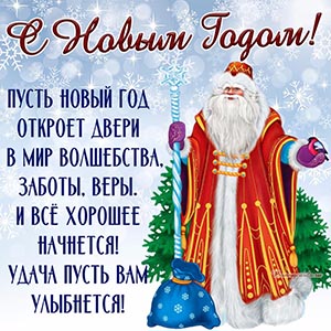 Поздравление в стихах на Новый Год с Дедом Морозом