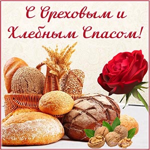 Роза и поздравление с Ореховым и Хлебным Спасом