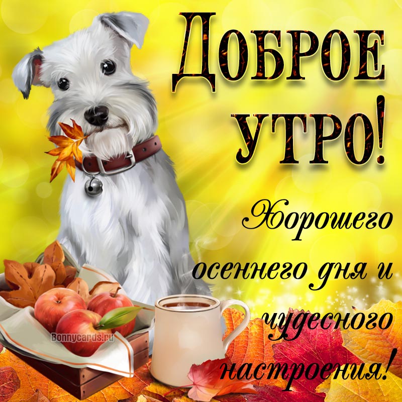 Открытка - пожелание доброго осеннего утра с собакой и яблоками