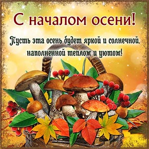 Корзинка с грибами и осенние листья к началу осени