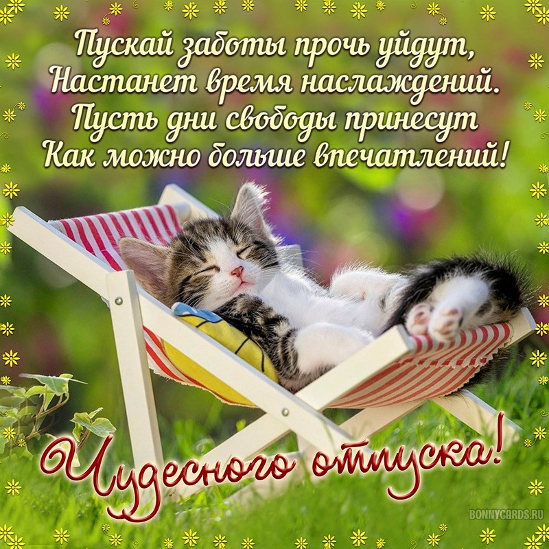 Милая открытка к отпуску со спящим котиком в шезлонге