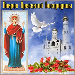 Открытка на Покров с голубем, храмом и тюльпанами