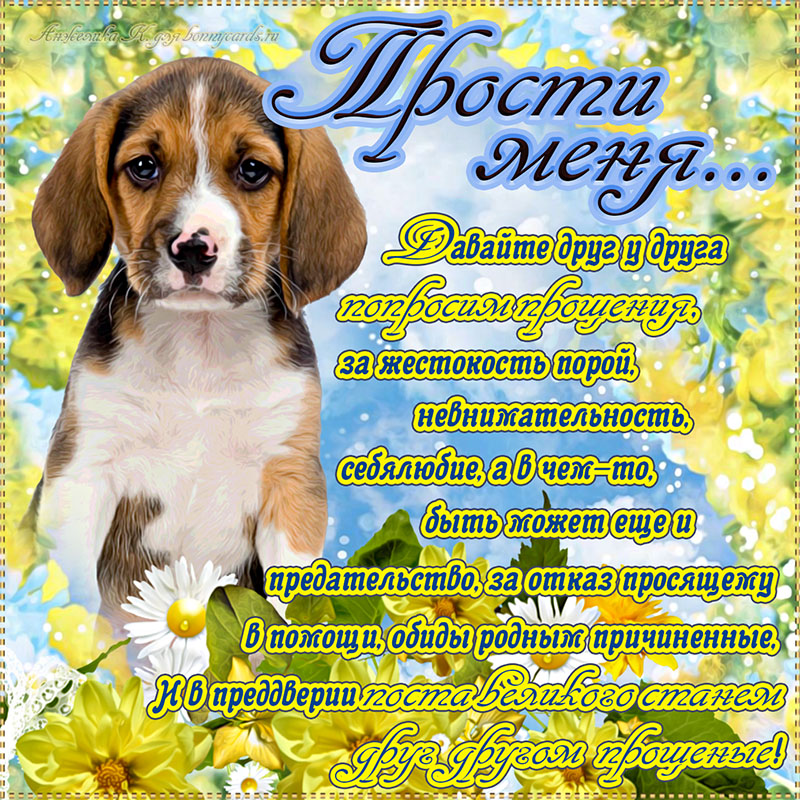 Картинка на Прощёное Воскресенье с собачкой и красивым пожеланием о прощении