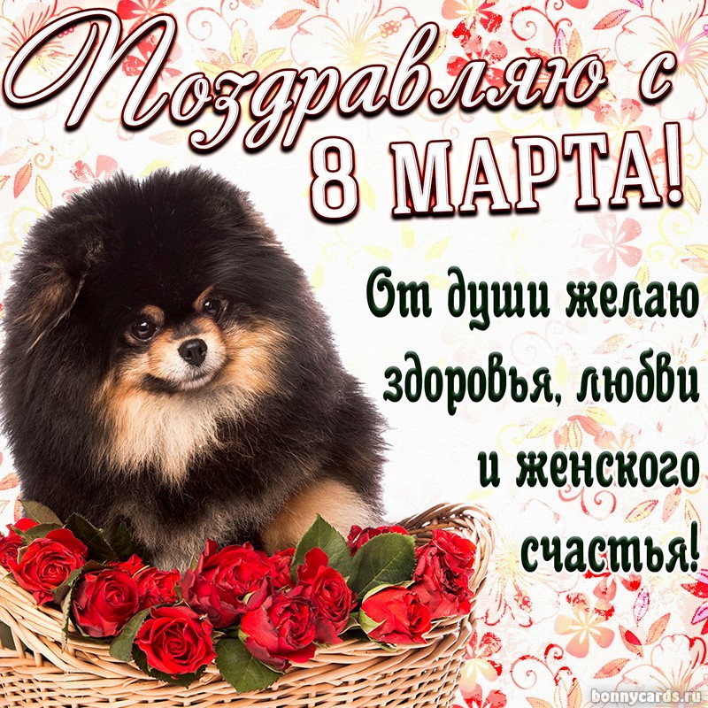 Открытка с милой собачкой и поздравлением на 8 марта
