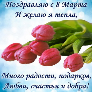 Поздравление и красивые тюльпаны на 8 марта