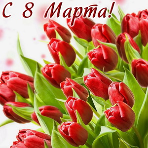 Море красных тюльпанов на 8 марта