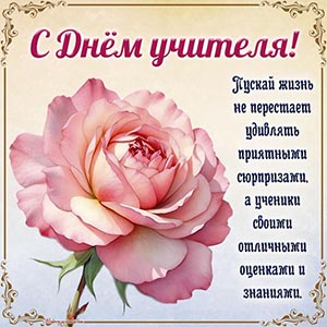 Нежный цветок и прекрасное поздравление с Днём учителя