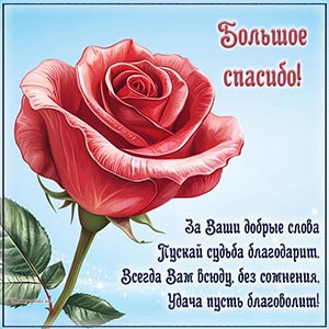 Картинка со стихами и нежной розочкой, большое спасибо
