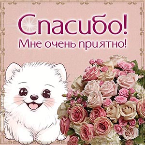 Приятная картинка со зверком, спасибо, мне очень приятно