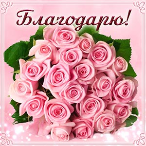 Потрясающая картинка с прелестными розами, благодарю