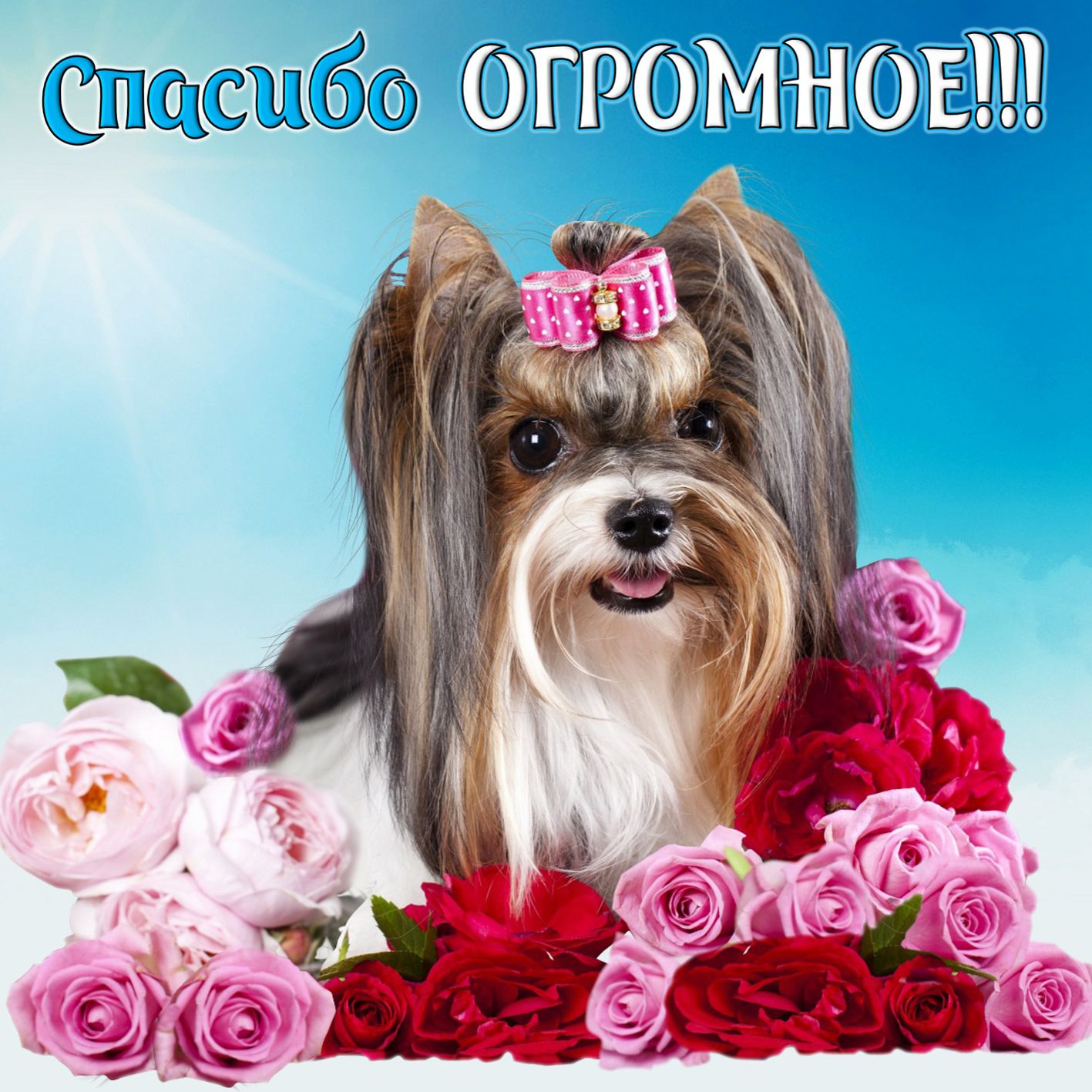 Открытка спасибо - милая собачка в окружении цветов