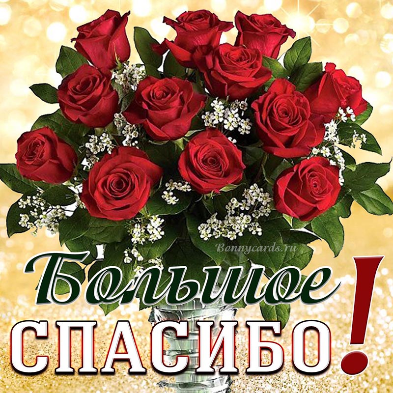 Большое спасибо на открытке с красными розами