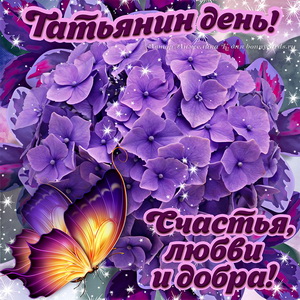 Яркая картинка на Татьянин день с цветами и бабочкой