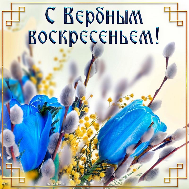 Картинка на Вербное воскресенье с тюльпанами и мимозой