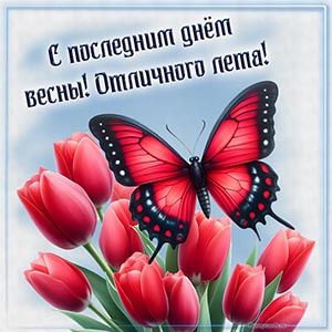 Бабочка и фраза - с последним днём весны, отличного лета