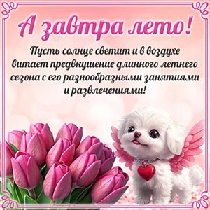 Нежные тюльпаны, забавная собака и текст - а завтра лето