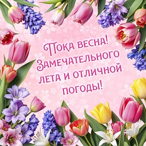 Весенние цветы и слова - пока весна, замечательного лета