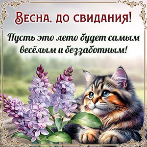 Картинка с котом и сиренью - весна, до свидания