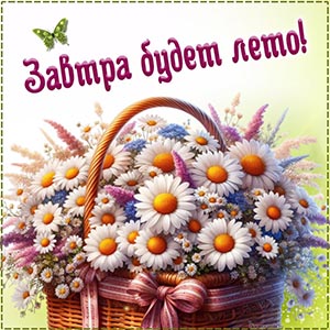 Корзина ромашек, бант и надпись - завтра будет лето