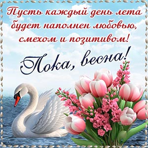 Лебедь, красивый букет, пожелание и текст - пока весна