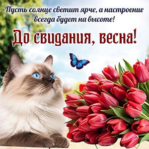 Надпись - до свидания, весна, пусть солнце светит ярче