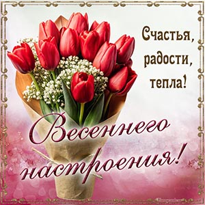 Изысканная картинка на весну с красивыми тюльпанами