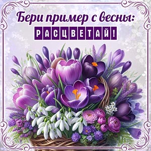 Корзина с крокусами, бери пример с весны: расцветай