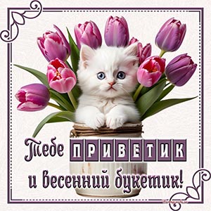 Открытка на весну с приветиком и с белым котиком в вазе