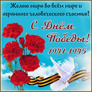 Красивая открытка на День Победы с голубем и гвоздиками