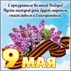 Яркая сирень и доброе пожелание на праздник 9 мая