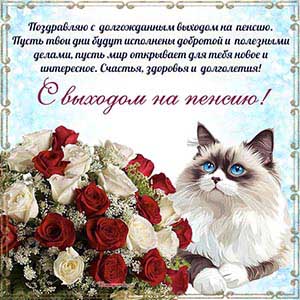 Красивый кот, цветы и поздравление с выходом на пенсию