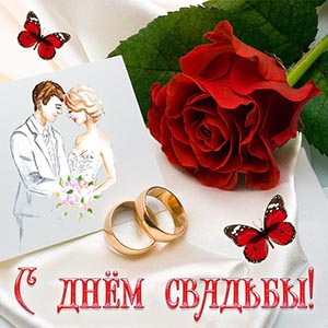 Картинка с днём свадьбы с бабочками и красной розой