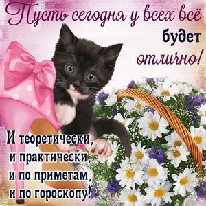 Красивая открытка с котёнком и ромашками